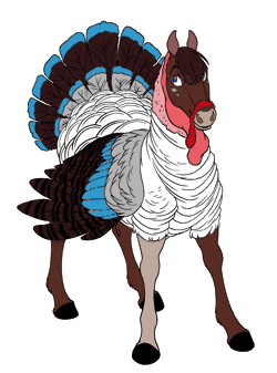 Dark Cyan Turkey