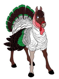 Dark Green Turkey